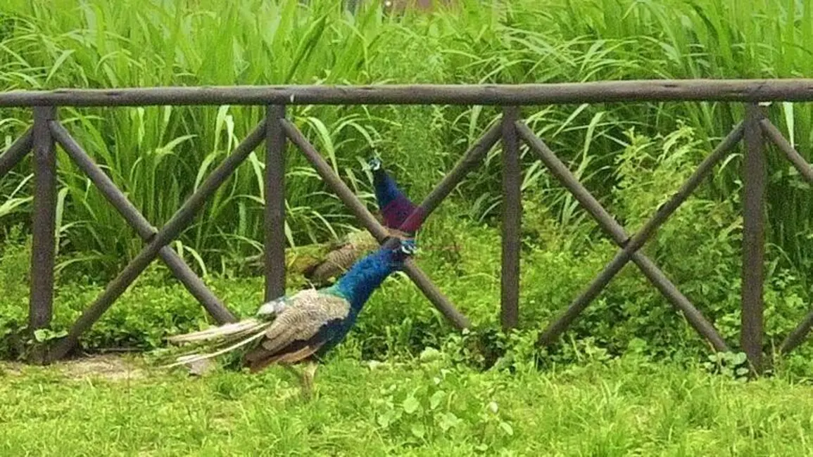 Foto 4 de Lote de Condomínio à venda, 300m2 em Cruz Do Espirito Santo - PB