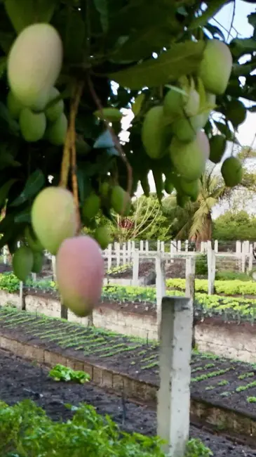 Foto 7 de Lote de Condomínio à venda, 600m2 em Cruz Do Espirito Santo - PB