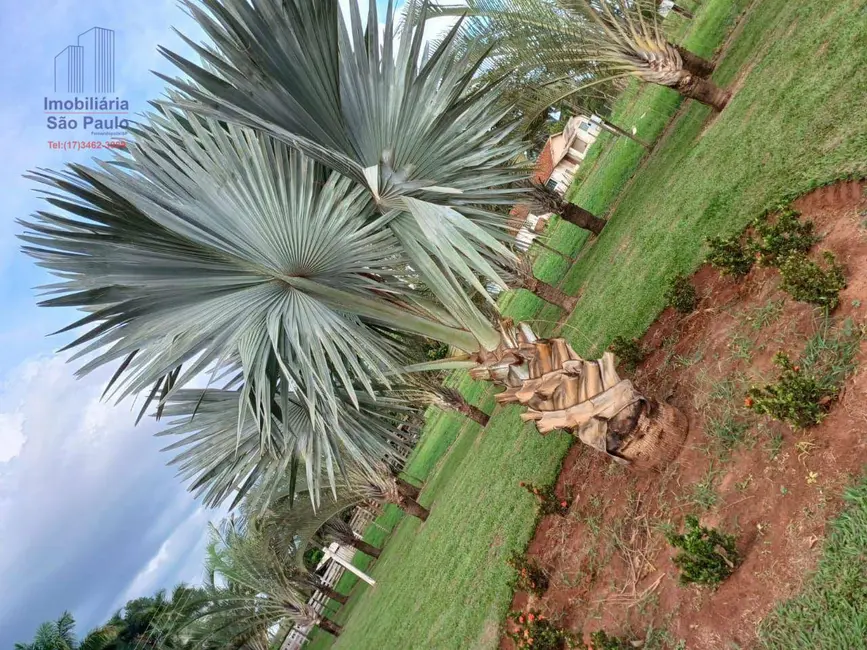 Foto 9 de Chácara com 3 quartos à venda, 28000m2 em Fernandopolis - SP