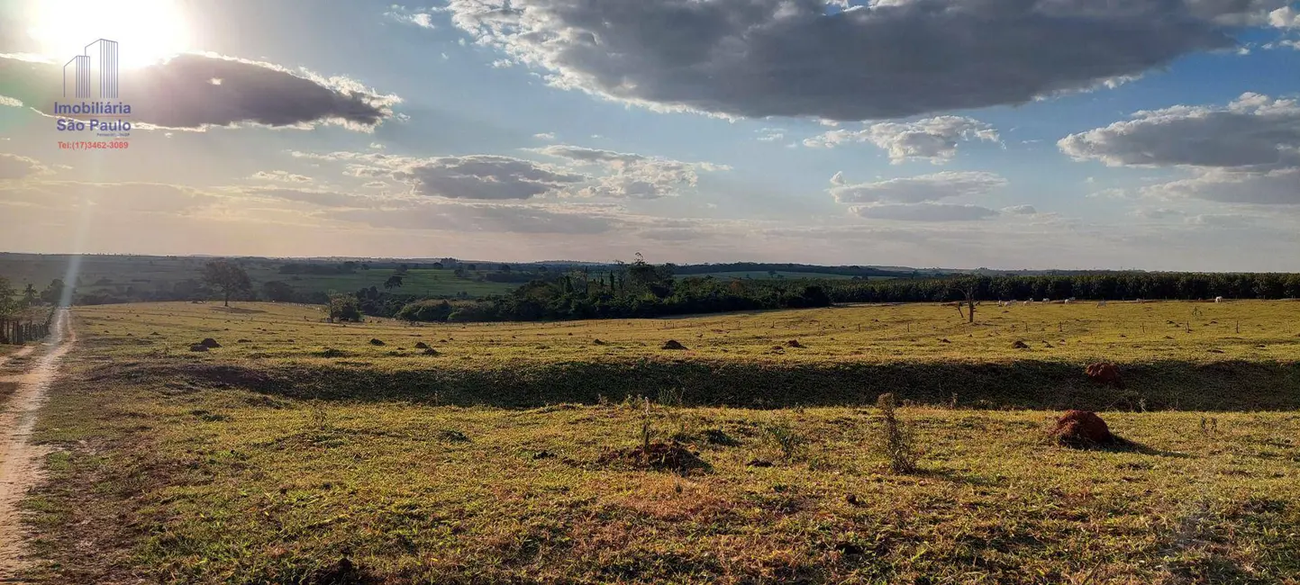 Foto 5 de Sítio / Rancho com 3 quartos à venda, 240000m2 em Fernandopolis - SP