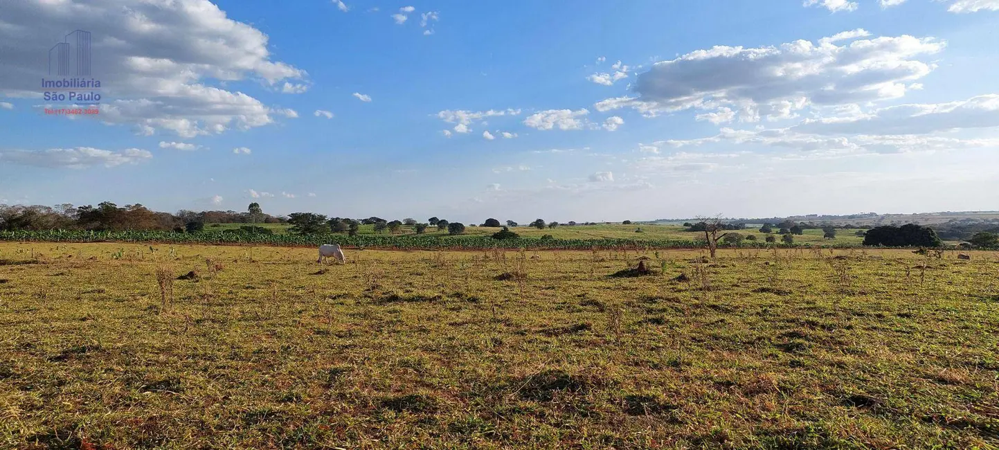 Foto 3 de Sítio / Rancho com 3 quartos à venda, 240000m2 em Fernandopolis - SP