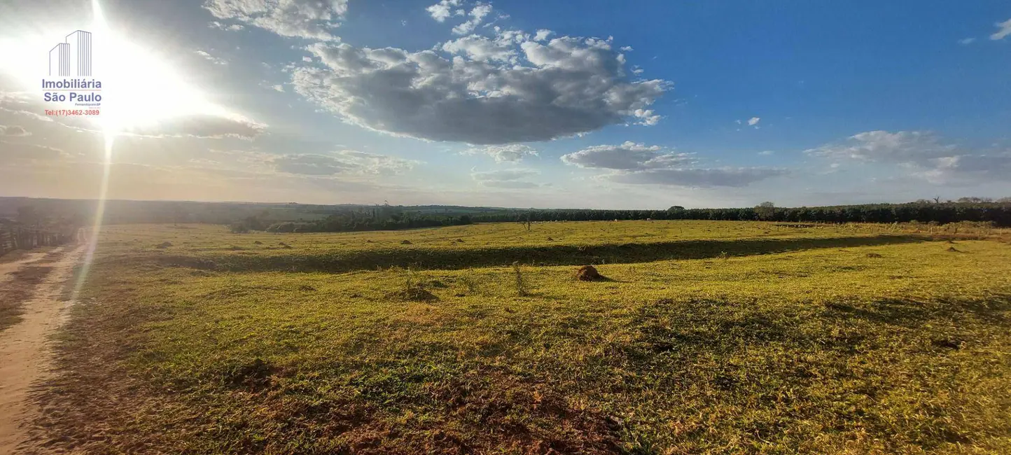 Foto 6 de Sítio / Rancho com 3 quartos à venda, 240000m2 em Fernandopolis - SP