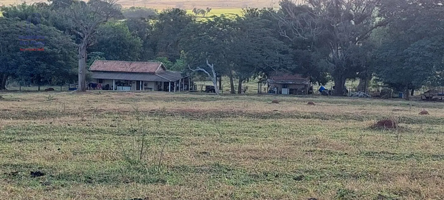 Foto 9 de Sítio / Rancho com 3 quartos à venda, 242000m2 em Fernandopolis - SP