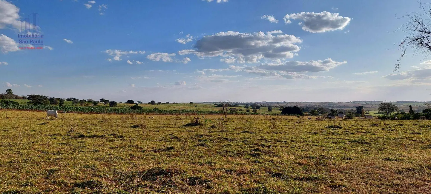 Foto 2 de Sítio / Rancho com 3 quartos à venda, 242000m2 em Fernandopolis - SP