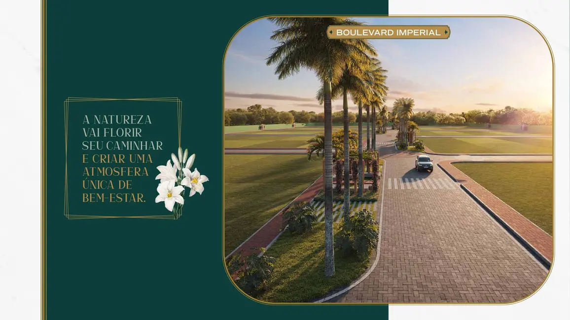 Foto 8 de Terreno / Lote à venda, 325m2 em Sim, Feira De Santana - BA