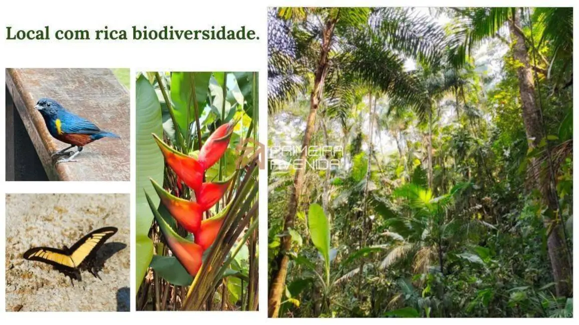 Foto 6 de Casa com 3 quartos à venda, 350m2 em Ubatuba - SP