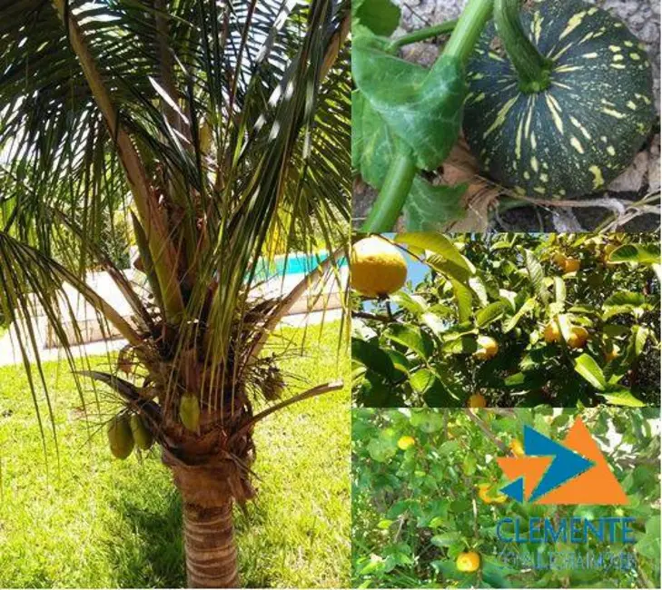 Foto 5 de Casa de Condomínio com 4 quartos à venda, 360m2 em Lagoa Santa - MG