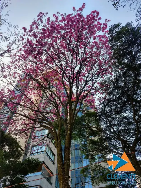 Apartamento com 4 quartos à venda, 154m2 em Funcionários, Belo Horizonte - MG - imagem 4 Foto 4 de Apartamento com 4 quartos à venda, 154m2 em Funcionários, Belo Horizonte - MG