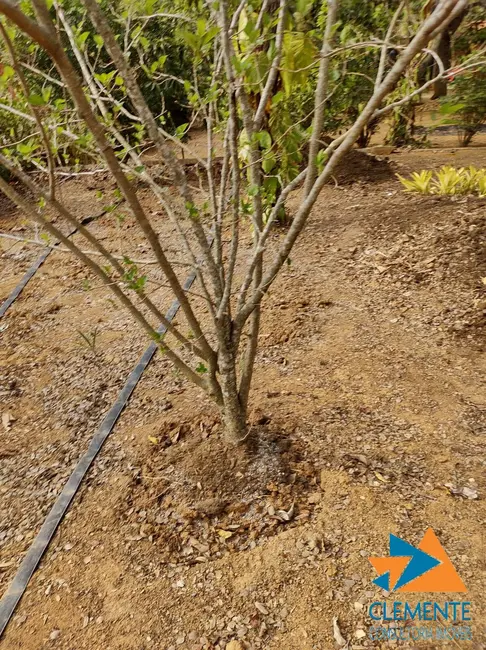 Foto 9 de Terreno / Lote à venda, 1000m2 em Jaboticatubas - MG