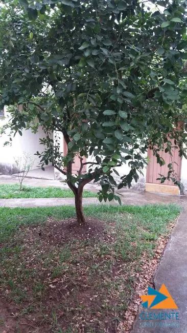 Foto 21 de Casa com 4 quartos à venda, 150m2 em Glória, Belo Horizonte - MG