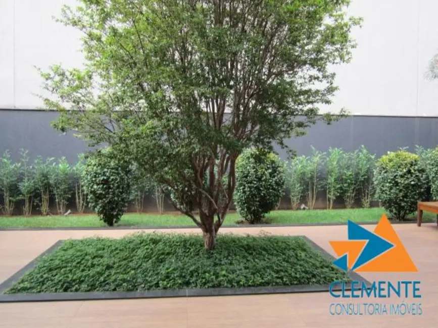 Apartamento com 3 quartos à venda, 95m2 em Santo Antônio, Belo Horizonte - MG - imagem 4 Foto 4 de Apartamento com 3 quartos à venda, 95m2 em Santo Antônio, Belo Horizonte - MG