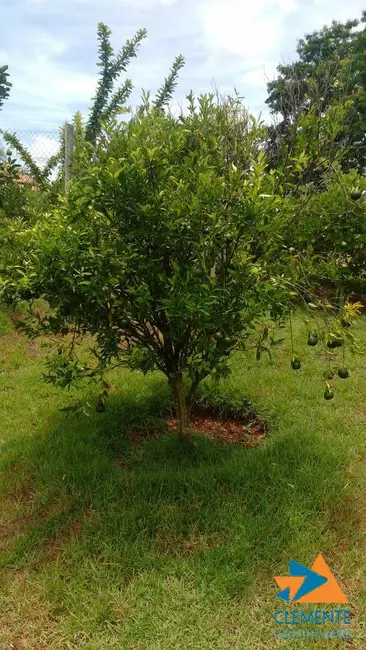 Foto 2 de Casa com 4 quartos à venda, 270m2 em Jaboticatubas - MG