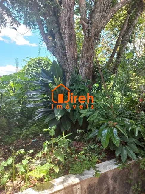 Foto 8 de Casa com 4 quartos à venda, 250m2 em Vila Assis Brasil, Maua - SP