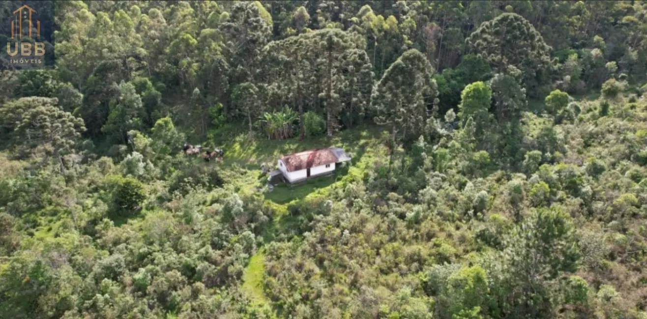 Foto 10 de Fazenda / Haras à venda em Joanopolis - SP