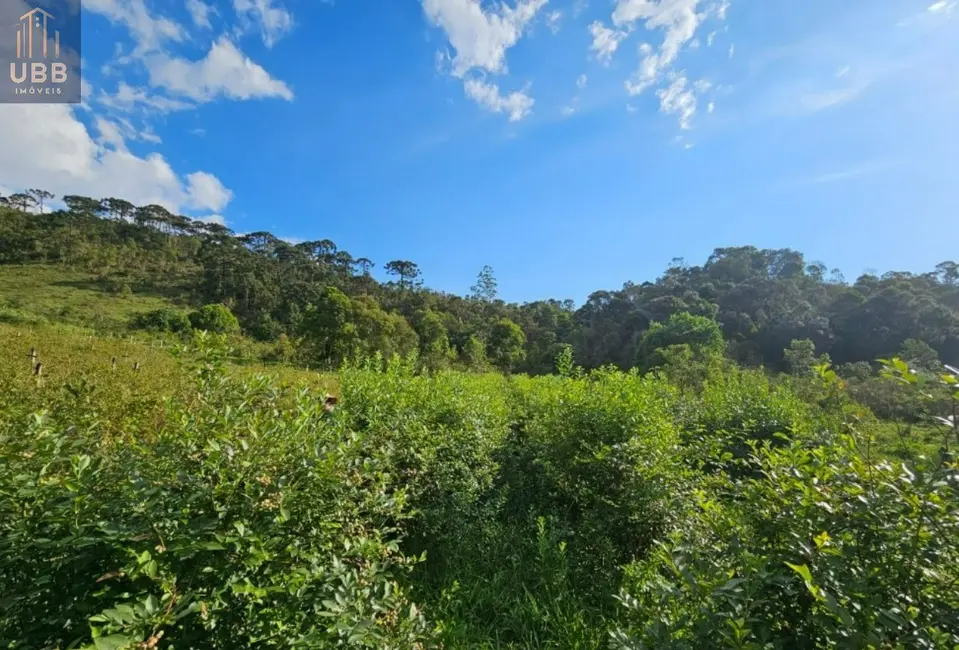 Foto 5 de Fazenda / Haras à venda em Joanopolis - SP