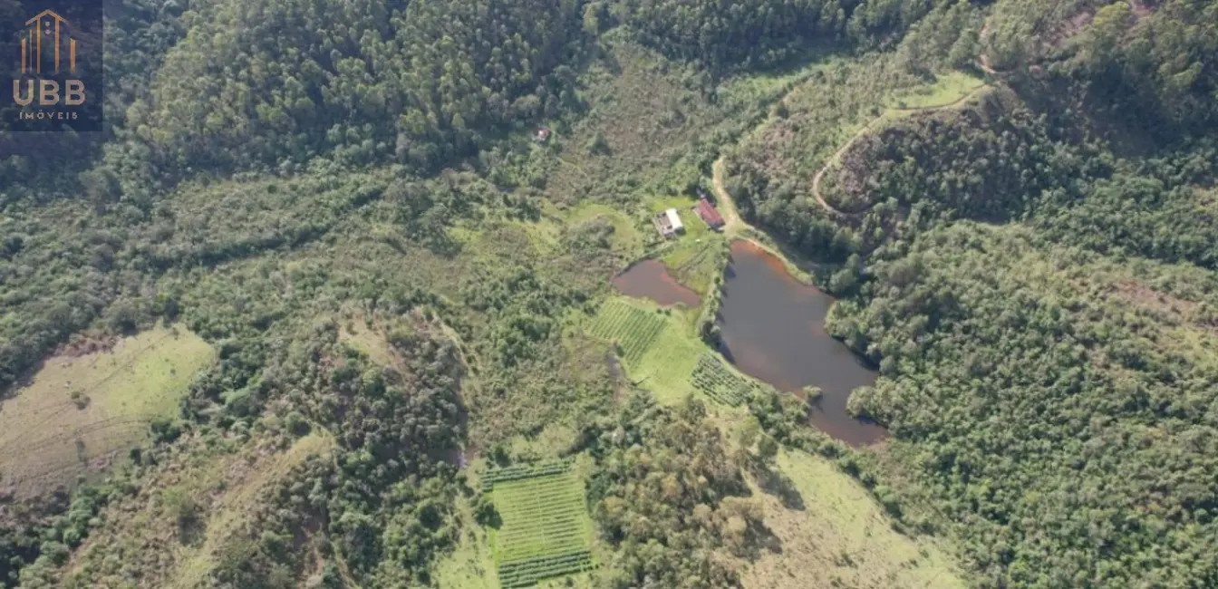 Foto 14 de Fazenda / Haras à venda em Joanopolis - SP