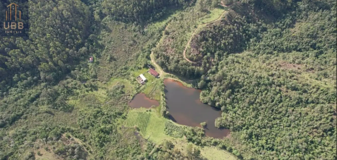 Foto 12 de Fazenda / Haras à venda em Joanopolis - SP