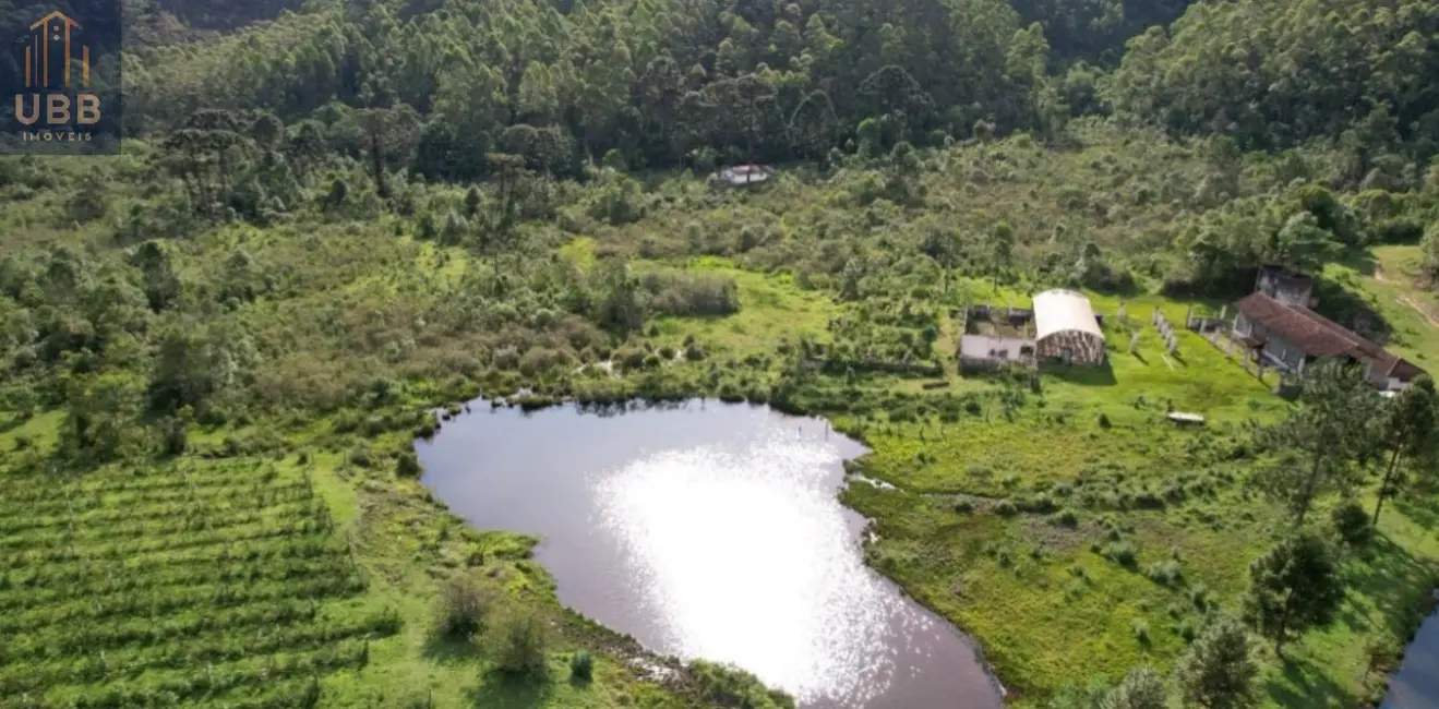 Foto 18 de Fazenda / Haras à venda em Joanopolis - SP