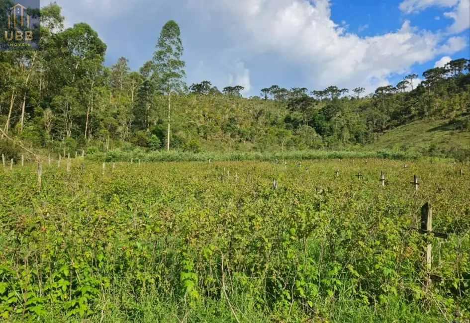 Foto 6 de Fazenda / Haras à venda em Joanopolis - SP