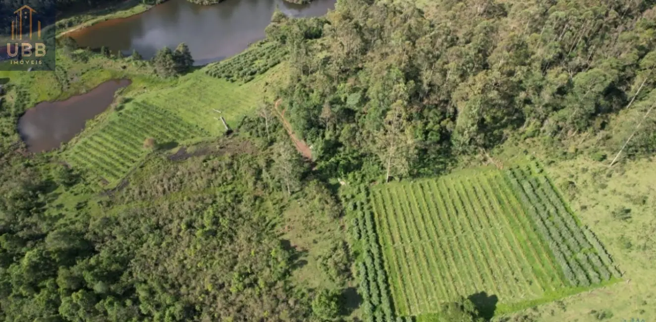Foto 16 de Fazenda / Haras à venda em Joanopolis - SP