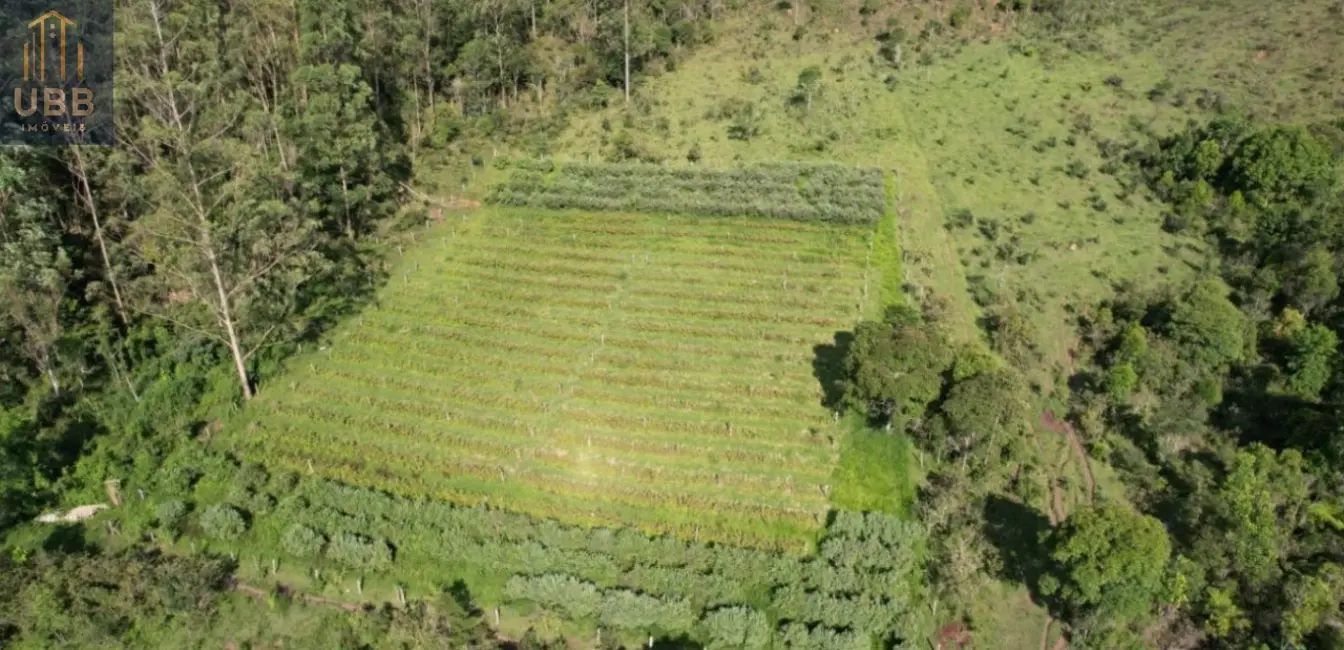 Foto 17 de Fazenda / Haras à venda em Joanopolis - SP