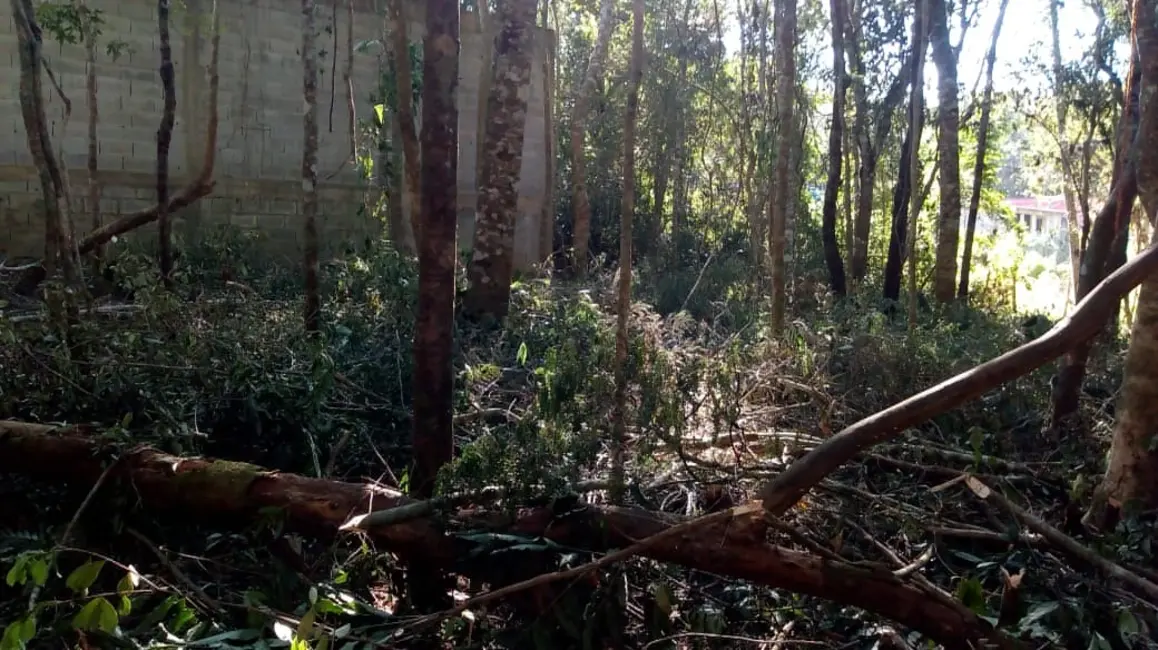 Foto 7 de Terreno / Lote à venda, 750m2 em Jardim das Cerejeiras, Cotia - SP
