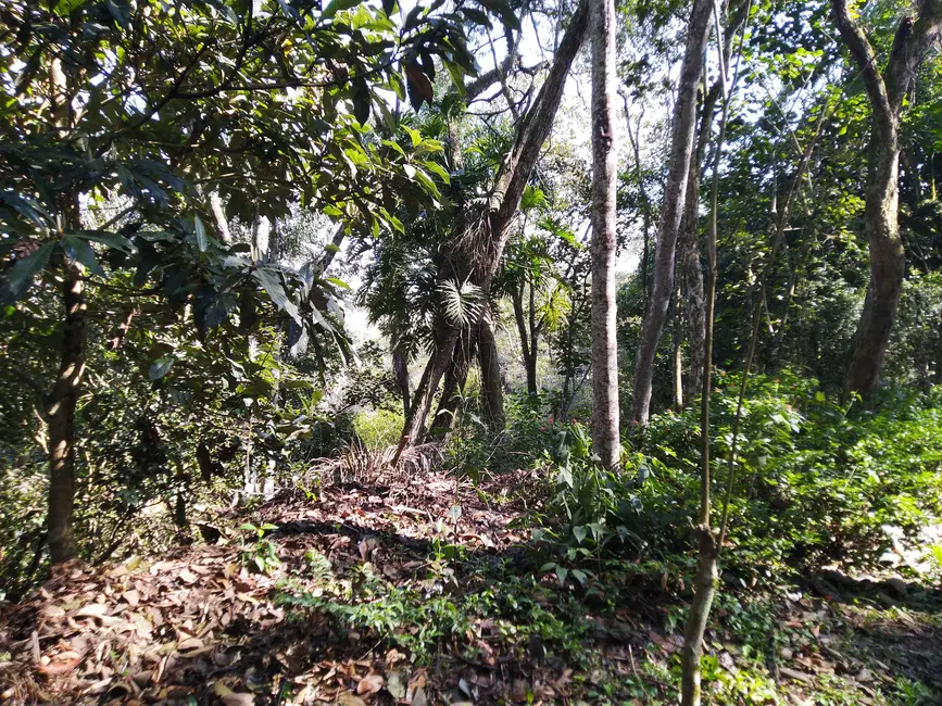 Foto 7 de Terreno / Lote à venda, 2053m2 em Chácara Represinha, Cotia - SP