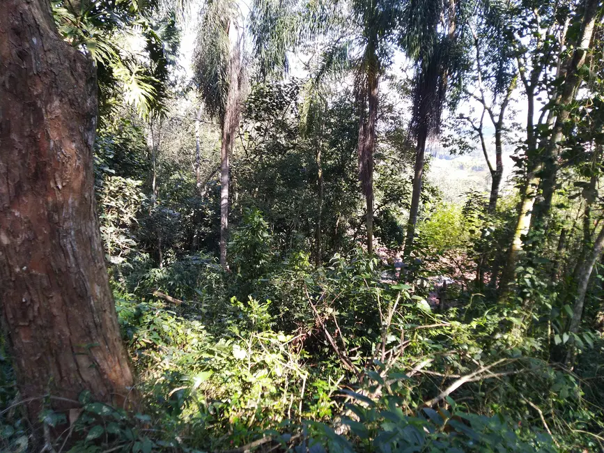 Foto 5 de Terreno / Lote à venda, 2053m2 em Chácara Represinha, Cotia - SP