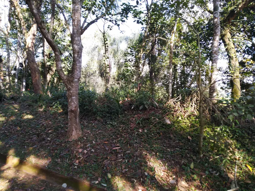 Foto 6 de Terreno / Lote à venda, 2053m2 em Chácara Represinha, Cotia - SP