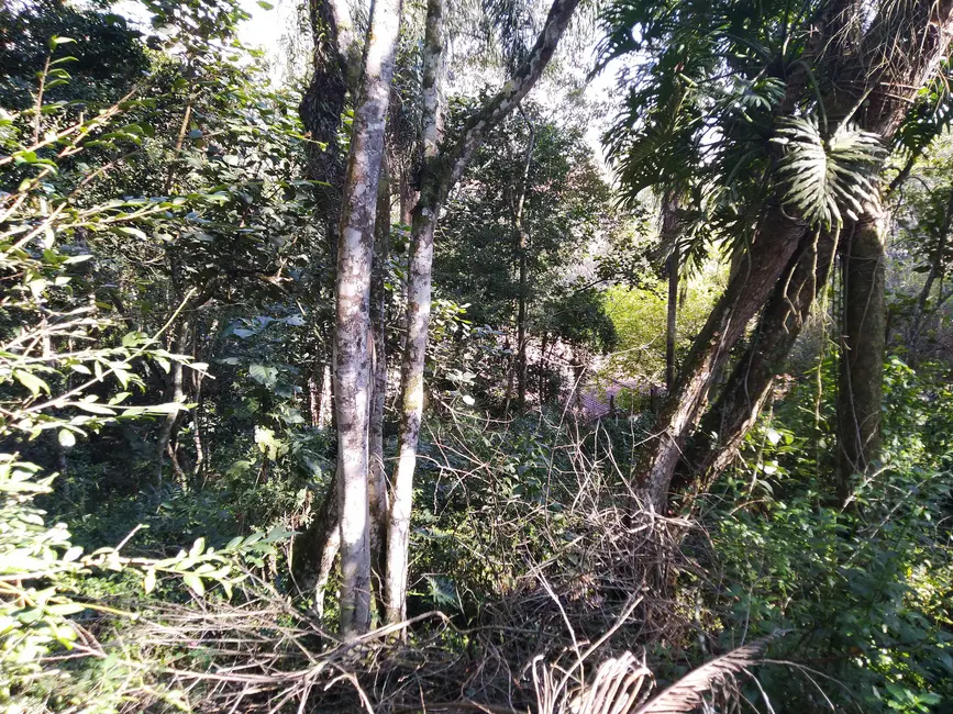 Foto 8 de Terreno / Lote à venda, 2053m2 em Chácara Represinha, Cotia - SP