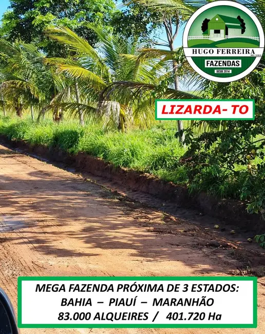 Foto 2 de Fazenda / Haras à venda, 401720m2 em Lizarda - TO