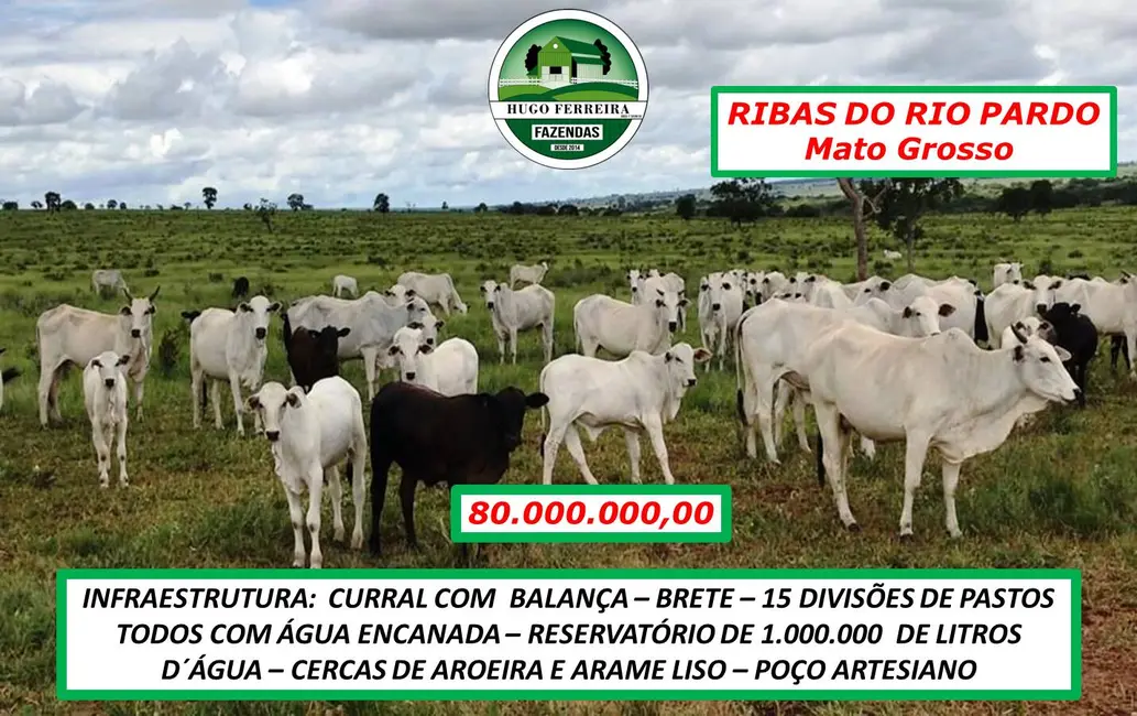 Foto 1 de Fazenda / Haras à venda, 2199m2 em Ribas Do Rio Pardo - MS