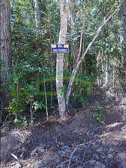 Terreno / Lote à venda, 550m2 em Centro, Ibiuna - SP - imagem 3 Foto 3 de Terreno / Lote à venda, 550m2 em Centro, Ibiuna - SP