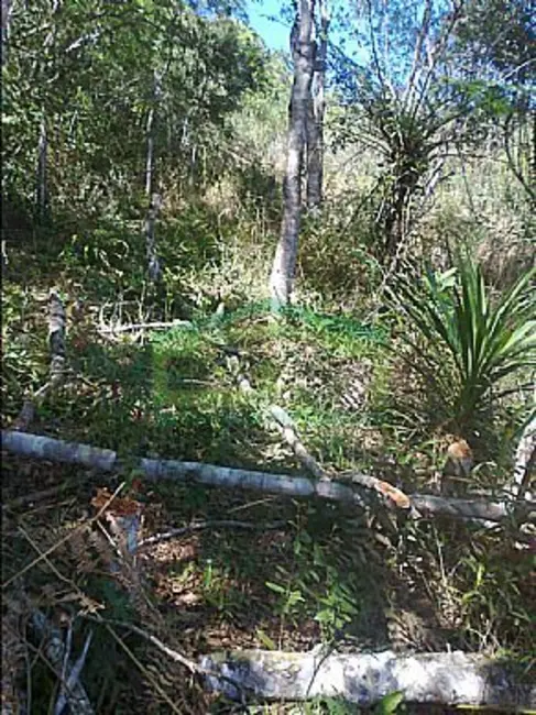 Terreno / Lote à venda, 550m2 em Centro, Ibiuna - SP - imagem 7 Foto 7 de Terreno / Lote à venda, 550m2 em Centro, Ibiuna - SP