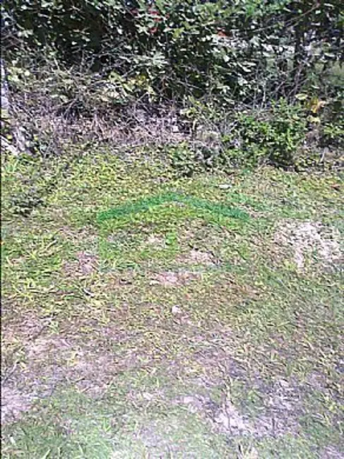 Terreno / Lote à venda, 550m2 em Centro, Ibiuna - SP - imagem 6 Foto 6 de Terreno / Lote à venda, 550m2 em Centro, Ibiuna - SP