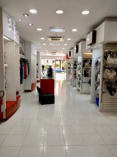 Loja para alugar, 900m2 em Pari, São Paulo - SP - imagem 5 Foto 5 de Loja para alugar, 900m2 em Pari, São Paulo - SP