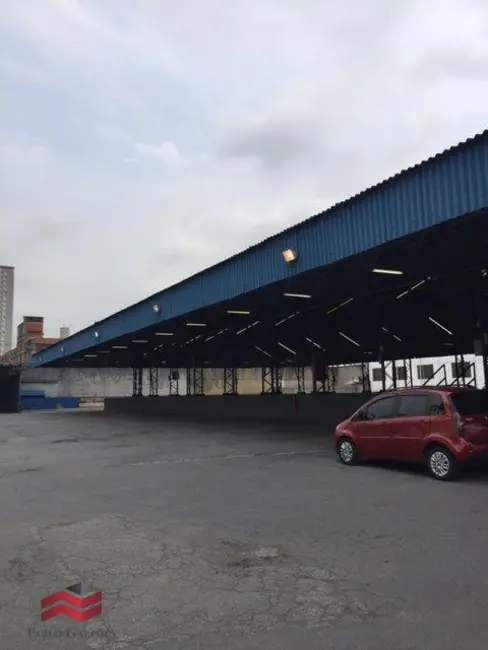 Foto 7 de Armazém / Galpão para alugar, 3247m2 em Vila Ribeiro de Barros, São Paulo - SP