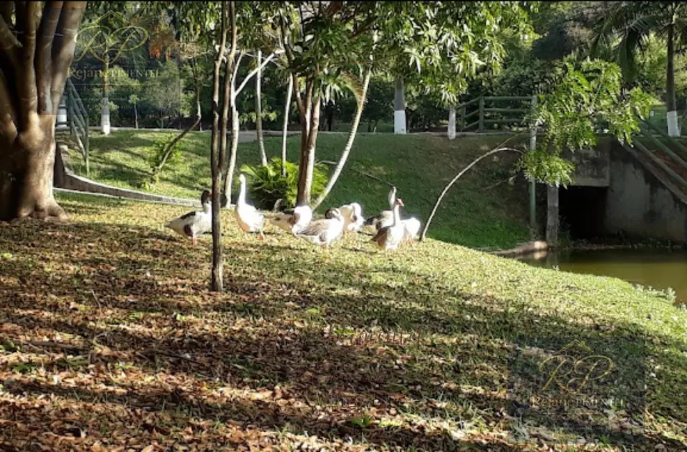 Terreno / Lote à venda em Parque Ibiti Reserva, Sorocaba - SP - imagem 8 Foto 8 de Terreno / Lote à venda em Parque Ibiti Reserva, Sorocaba - SP
