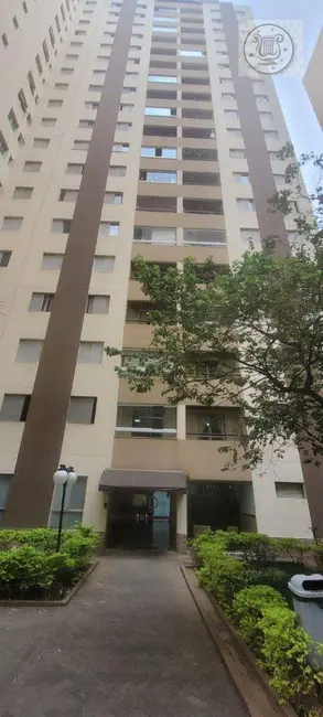 Apartamento com 3 quartos à venda, 65m2 em Vila Nova Cachoeirinha, São Paulo - SP - imagem 8 Foto 8 de Apartamento com 3 quartos à venda, 65m2 em Vila Nova Cachoeirinha, São Paulo - SP