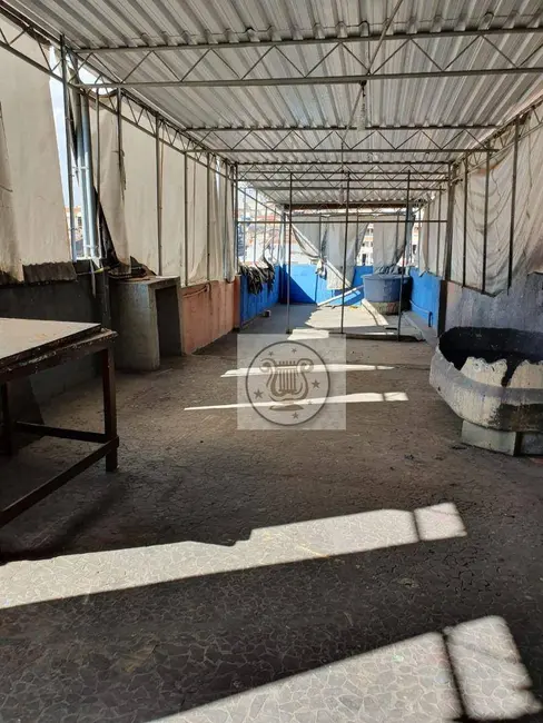 Foto 3 de Armazém / Galpão para alugar, 200m2 em Imirim, São Paulo - SP