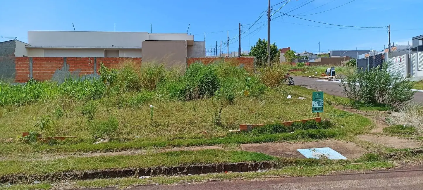 Foto 2 de Terreno / Lote à venda, 321m2 em Jardim Paraíso, Arapongas - PR