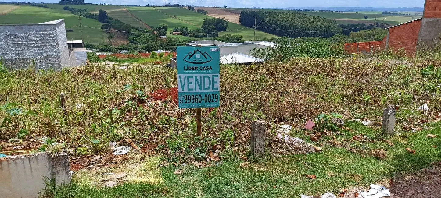 Terreno / Lote à venda, 275m2 em Arapongas - PR - imagem 5 Foto 5 de Terreno / Lote à venda, 275m2 em Arapongas - PR