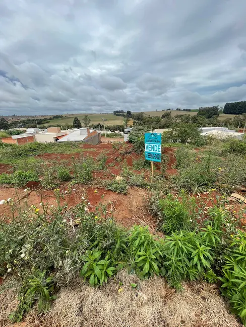 Foto 1 de Terreno / Lote à venda, 275m2 em Arapongas - PR