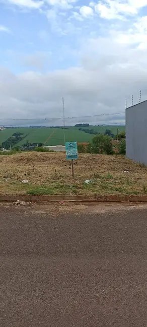 Foto 2 de Terreno / Lote à venda, 252m2 em Jardim Paraíso, Arapongas - PR