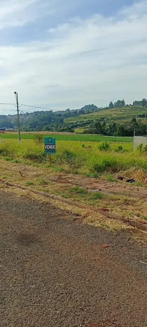 Terreno / Lote à venda, 350m2 em Arapongas - PR - imagem 5 Foto 5 de Terreno / Lote à venda, 350m2 em Arapongas - PR