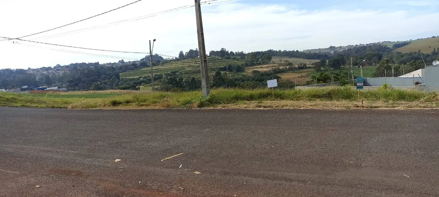 Foto 2 de Terreno / Lote à venda, 350m2 em Arapongas - PR