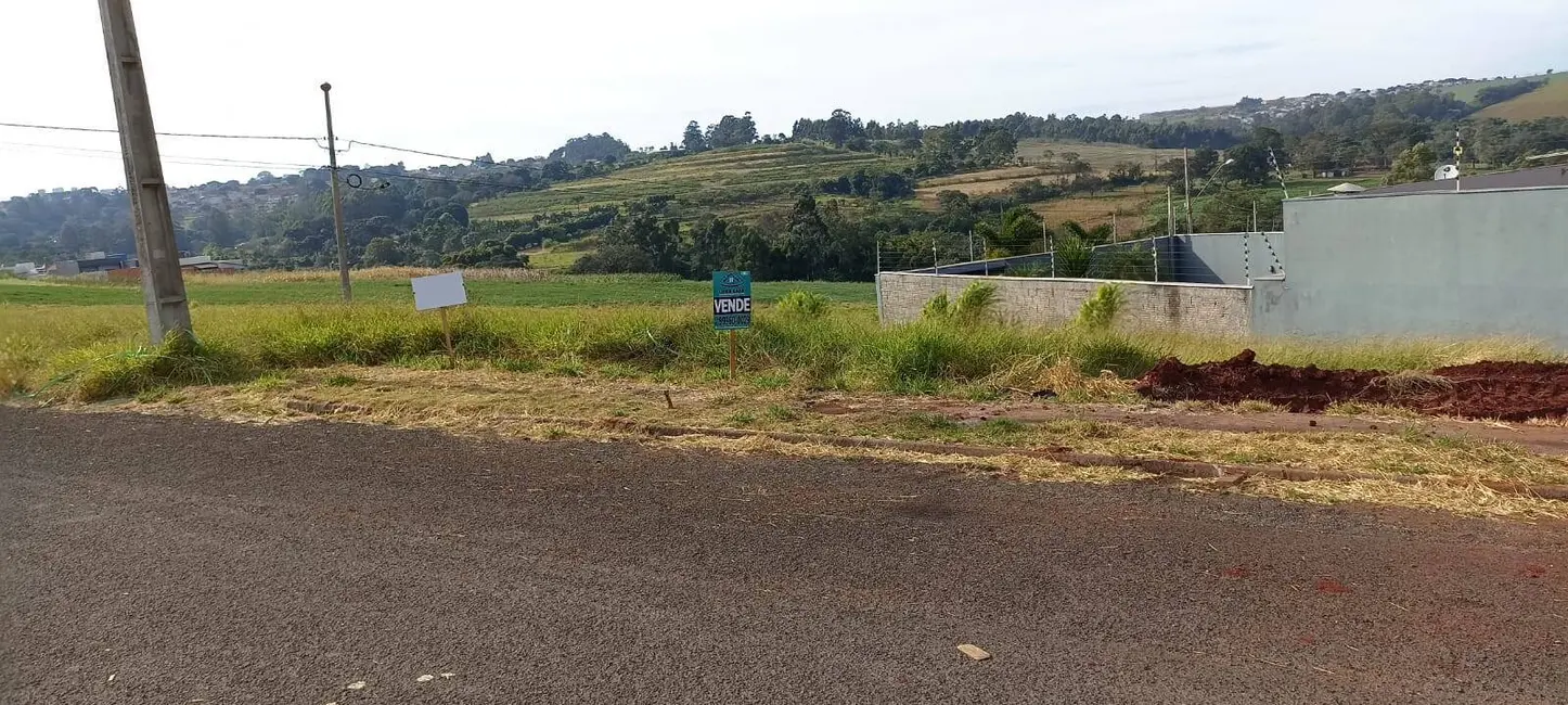Terreno / Lote à venda, 350m2 em Arapongas - PR - imagem 4 Foto 4 de Terreno / Lote à venda, 350m2 em Arapongas - PR
