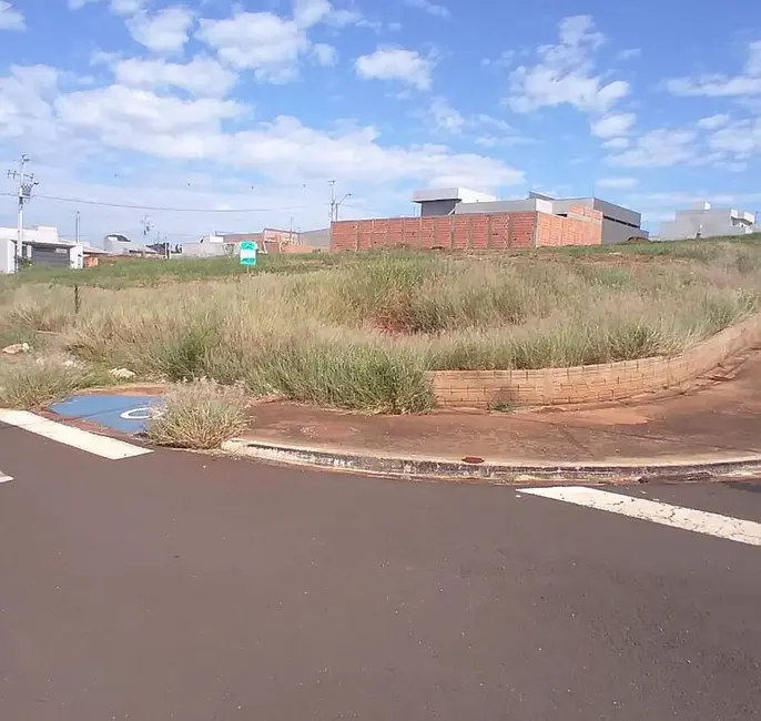 Foto 2 de Terreno / Lote à venda, 333m2 em Arapongas - PR