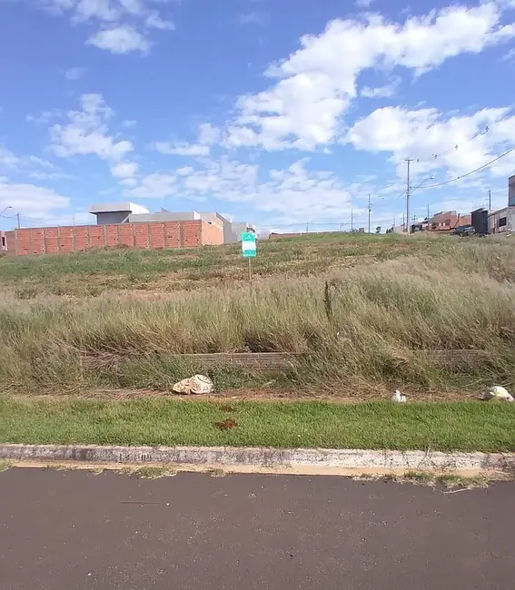Foto 1 de Terreno / Lote à venda, 333m2 em Arapongas - PR