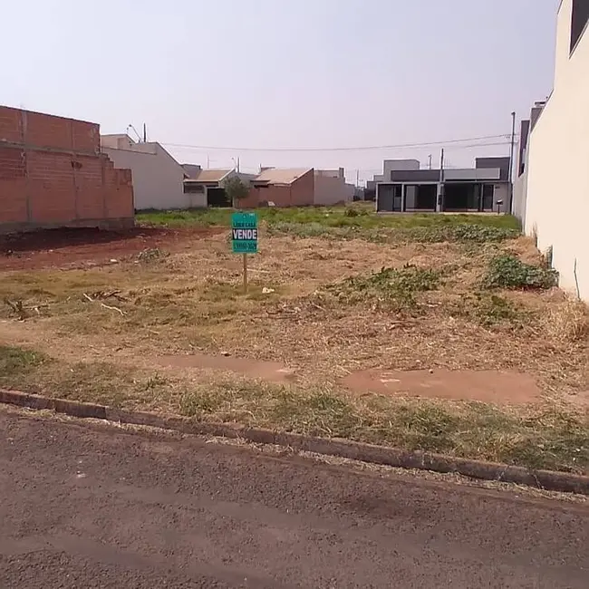 Foto 2 de Terreno / Lote à venda, 252m2 em Arapongas - PR
